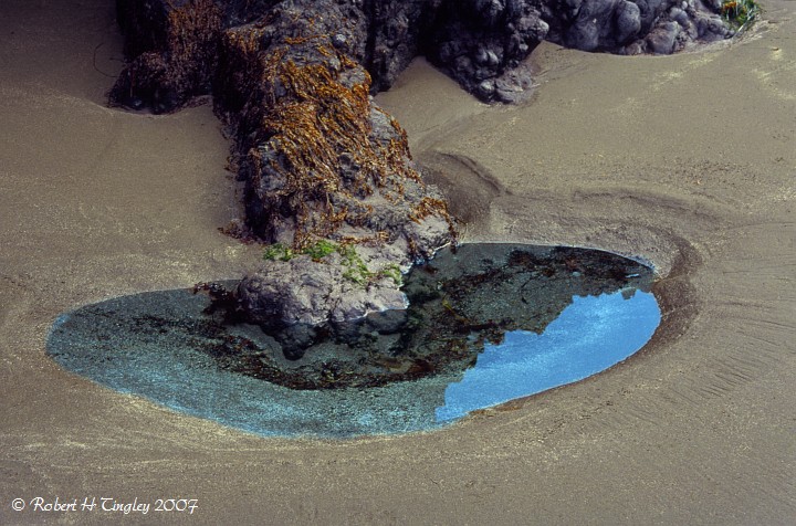 Tidal Pool
